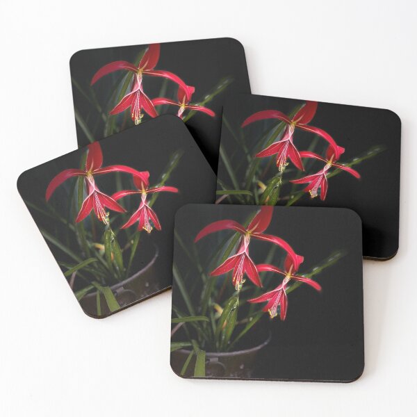 Item preview, Flor roja designed and sold by Mismatch007.
