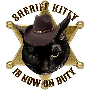 Sheriff cat on duty now !
