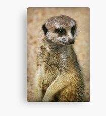 Vigilance Canvas Print