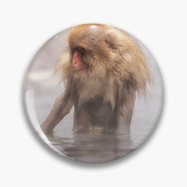 Item preview, Snow monkey in Jigokudani monkey park designed and sold by aaronchoi.