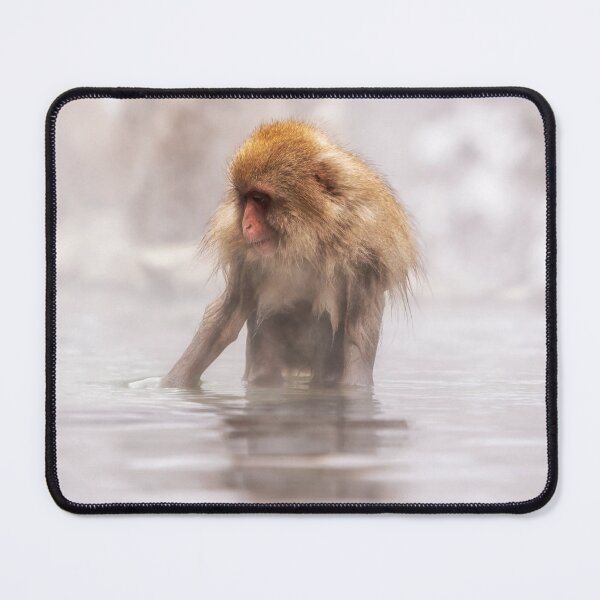 Item preview, Snow monkey in Jigokudani monkey park designed and sold by aaronchoi.