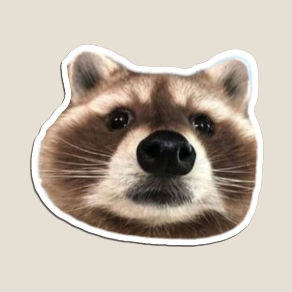 Sticker and Magnet Pack (Raccoon Magnet and 5 Vinyl Stickers)