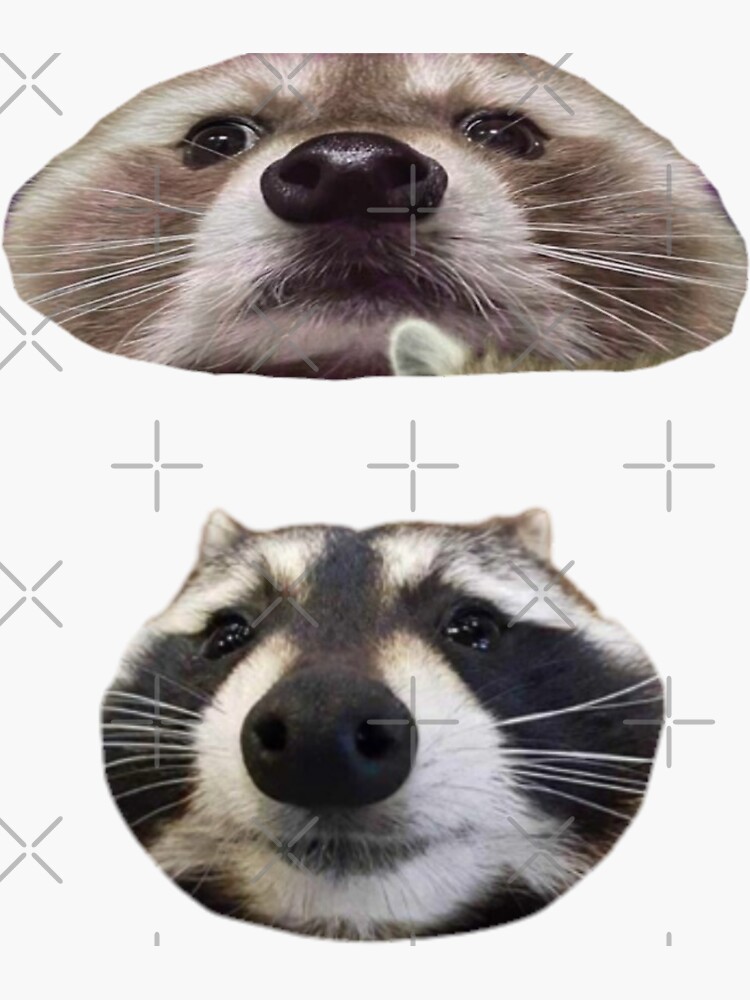 Bongo cat pixel art set Sticker for Sale by Devil Dogs Store