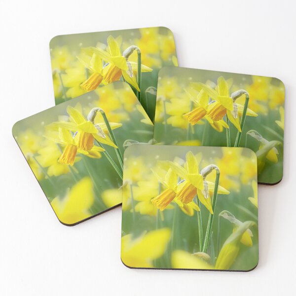 Item preview, Daffodils designed and sold by Alisonchambers2.