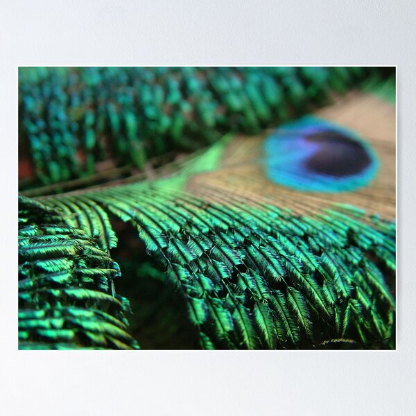 Item preview, Within a Feather designed and sold by Kerstin  Inga.