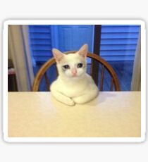 sad cat Sticker
