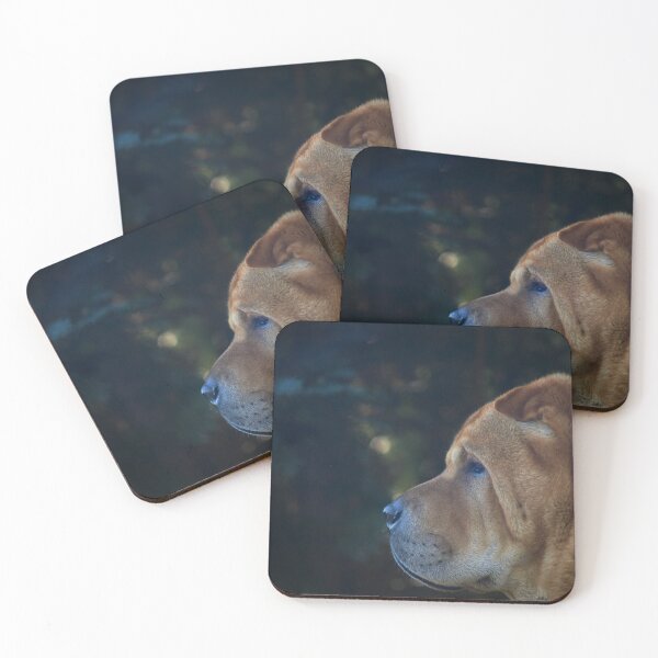 Item preview, Outdoor portrait of a chow dog designed and sold by Tamas KLAUSZ.