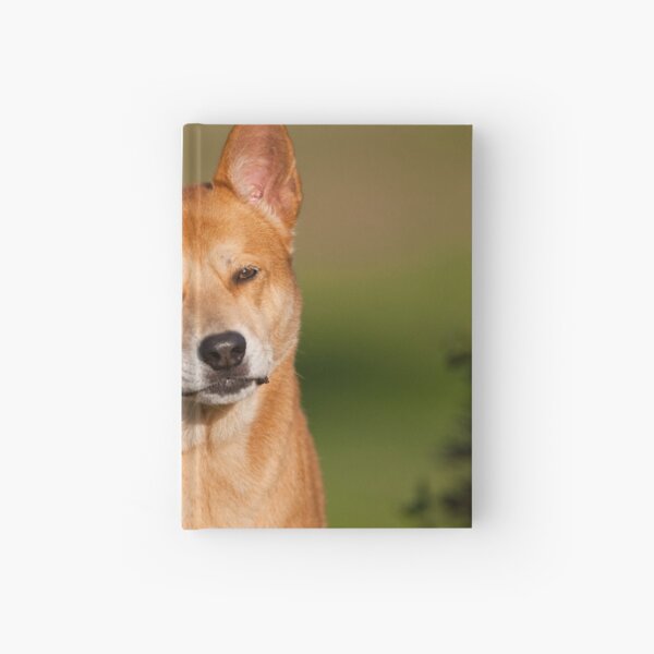 Mature Dog Portrait Hardcover Journal