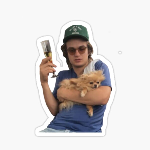 Item preview, Joe Keery my Spirit Animal designed and sold by caitlinwashere.