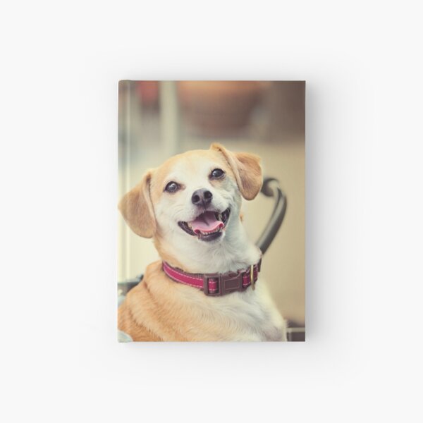 Terrier Dog in Bicycle Basket Hardcover Journal