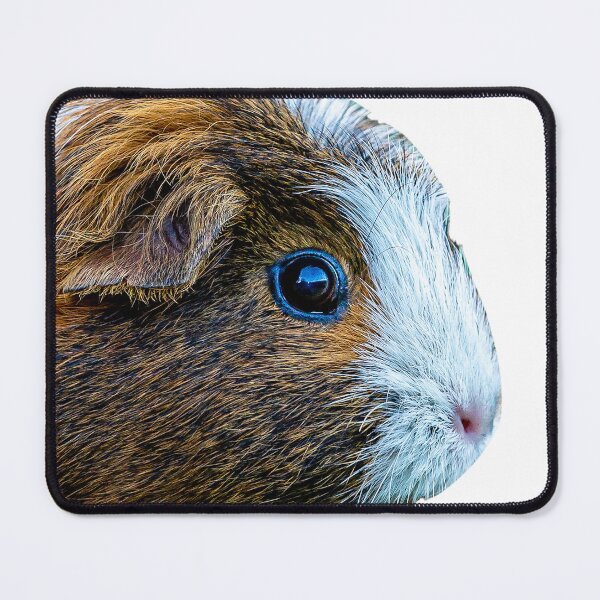Item preview, Guinea Pig portrait designed and sold by Dalyndigital Photography.