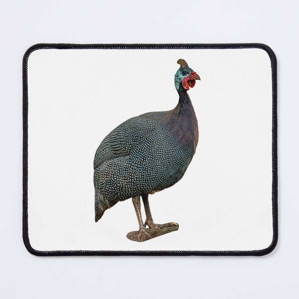 Item preview, Guineafowl on alert designed and sold by Dalyndigital Photography.