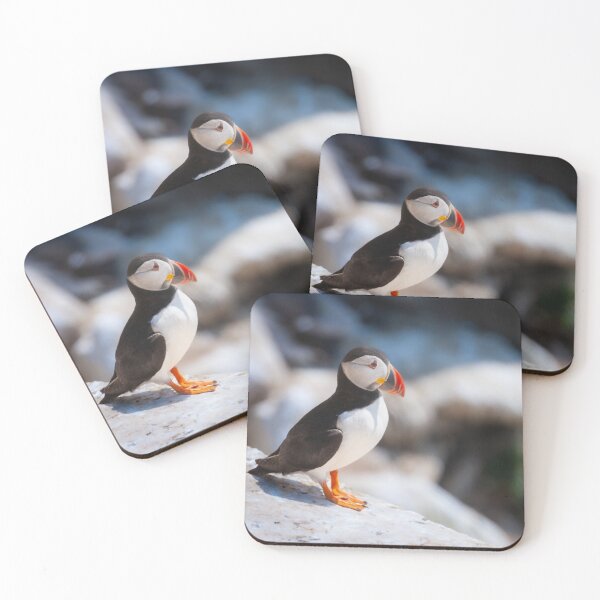 Item preview, Puffin, Saltee Island, Ireland designed and sold by AndrewJonesFoto.