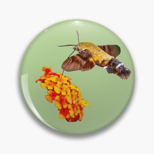 Item preview, Hummingbird Hawk Moth designed and sold by Dalyndigital Photography.