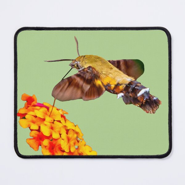 Item preview, Hummingbird Hawk Moth designed and sold by Dalyndigital Photography.