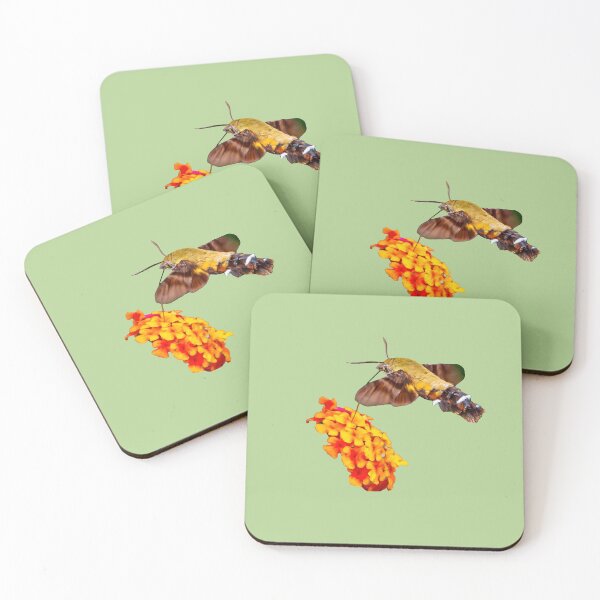 Item preview, Hummingbird Hawk Moth designed and sold by Dalyndigital Photography.