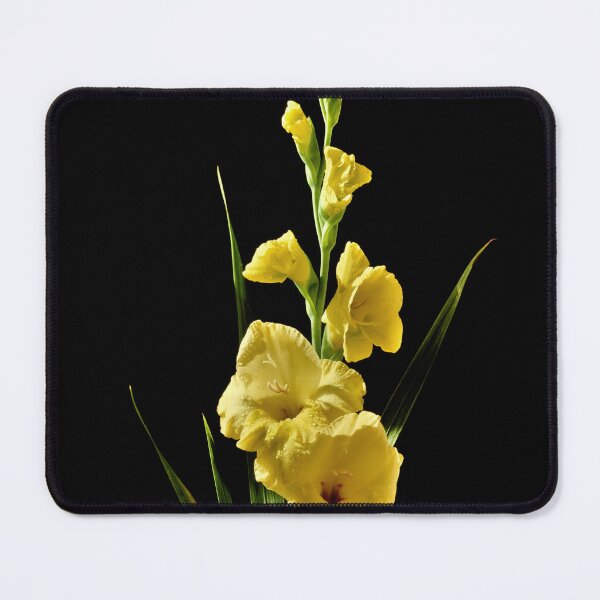 Item preview, Gladiolus Resplendant in Yellow. designed and sold by JonDelorme.
