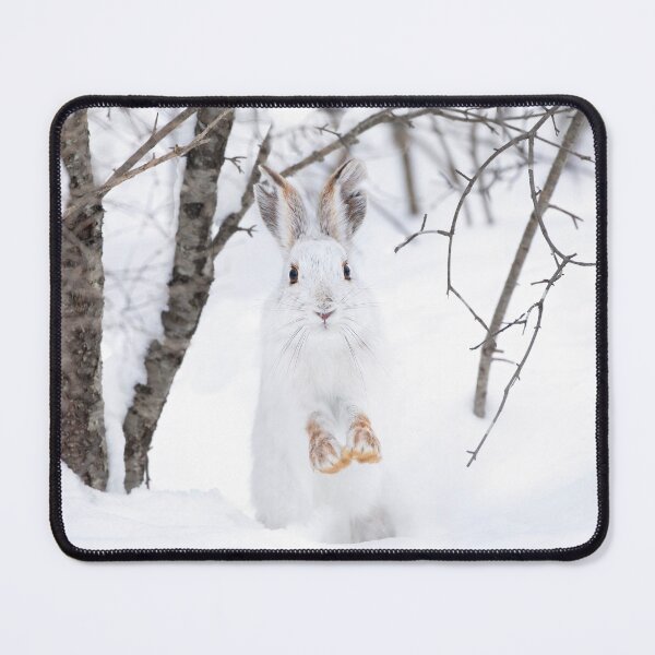 Item preview, Snowshoe hare on the run designed and sold by James Cumming.