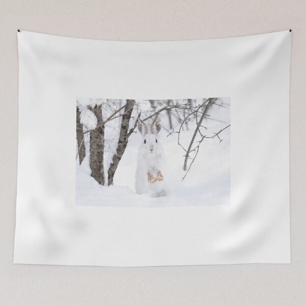 Item preview, Snowshoe hare on the run designed and sold by James Cumming.
