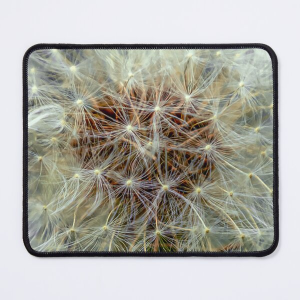 Item preview, Dandelion Clock designed and sold by Dalyndigital Photography.