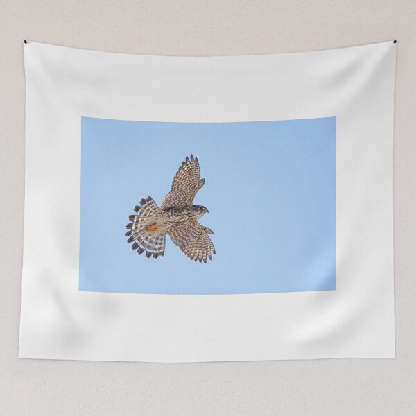 Item preview, Merlin in Flight designed and sold by James Cumming.