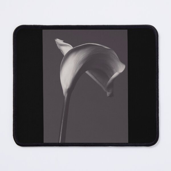 Item preview, calla lily photo, fine art, flowers photography, flower still life, wall decor, Robert Mapplethorpe designed and sold by ThePeachyKing.