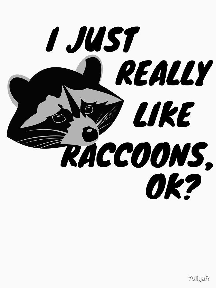 funny raccoon shirts