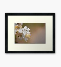 Fruit Flower Framed Print