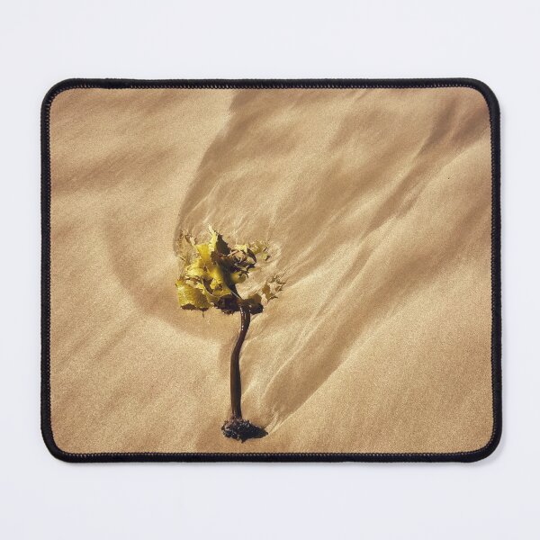Item preview, Seaweed Studies 4107 designed and sold by goodieg.