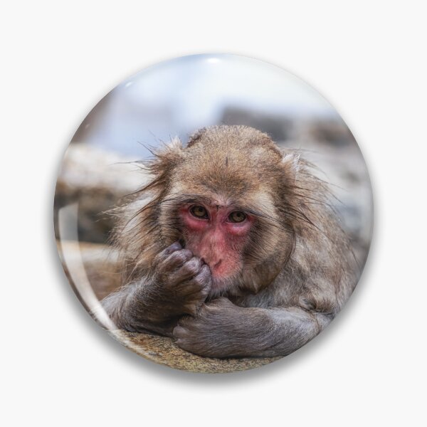 Item preview, Snow Monkey in Jigokudani Monkey Park designed and sold by aaronchoi.
