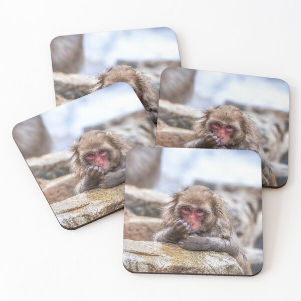Item preview, Snow Monkey in Jigokudani Monkey Park designed and sold by aaronchoi.