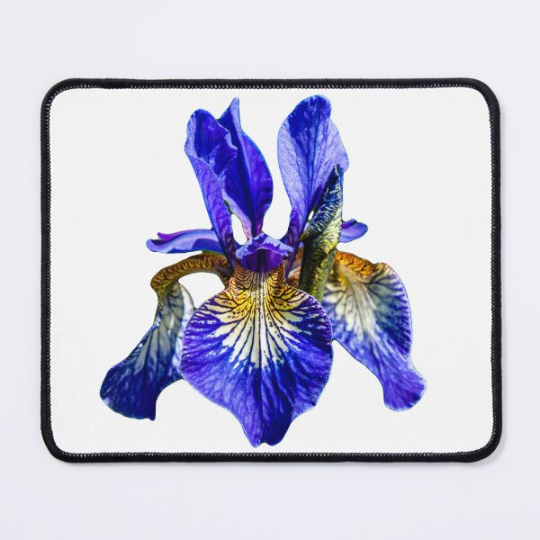 Item preview, Purple Iris designed and sold by Dalyndigital Photography.