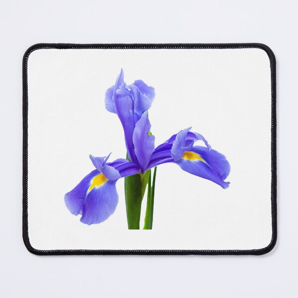 Item preview, Blue and Gold Iris flower designed and sold by Dalyndigital Photography.