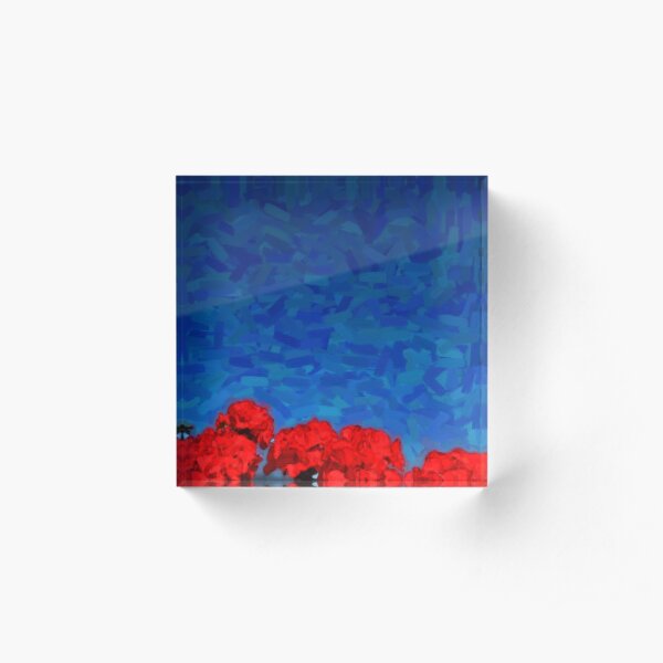 looking up Acrylic Block