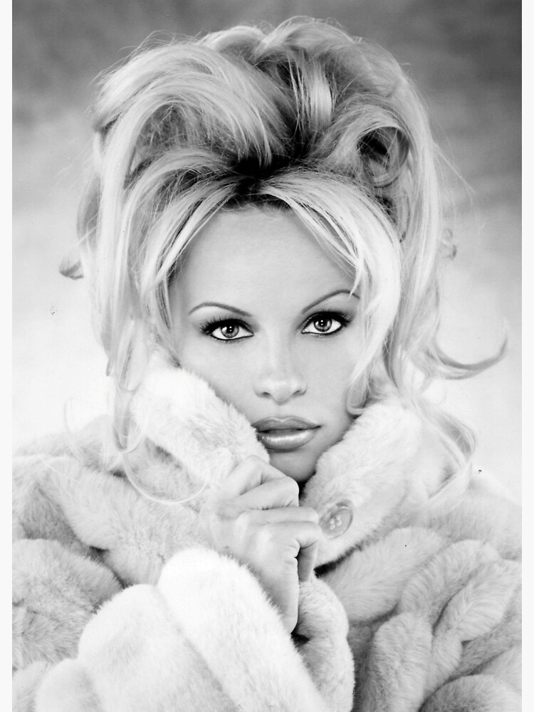 "Pamela Anderson Canadian American Actress, Pamela Anderson Model ...