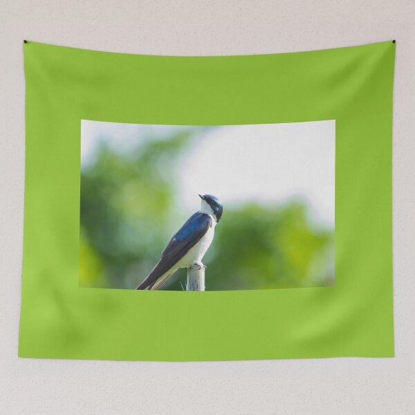 Item preview, Curious Tree Swallow  designed and sold by Ollivrosa.