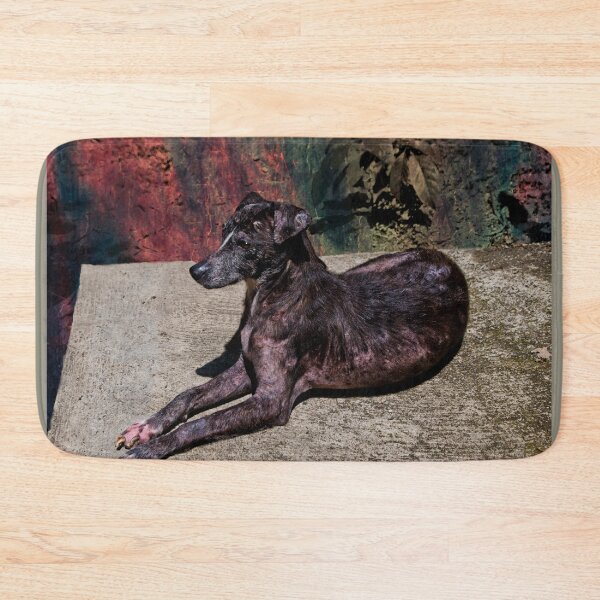 Item preview, Remembering Zorra designed and sold by alabca.