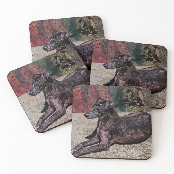 Item preview, Remembering Zorra designed and sold by alabca.