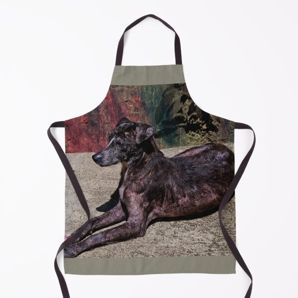 Item preview, Remembering Zorra designed and sold by alabca.