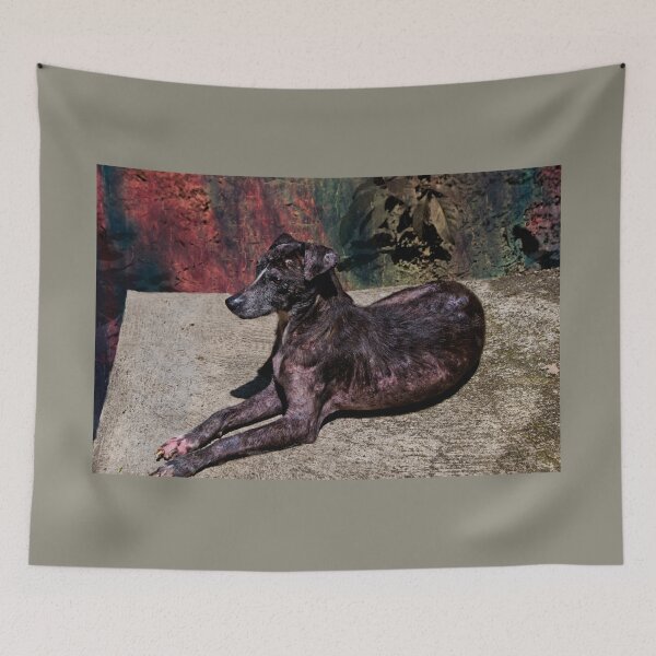 Item preview, Remembering Zorra designed and sold by alabca.