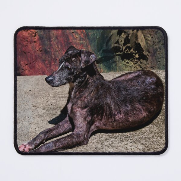 Item preview, Remembering Zorra designed and sold by alabca.