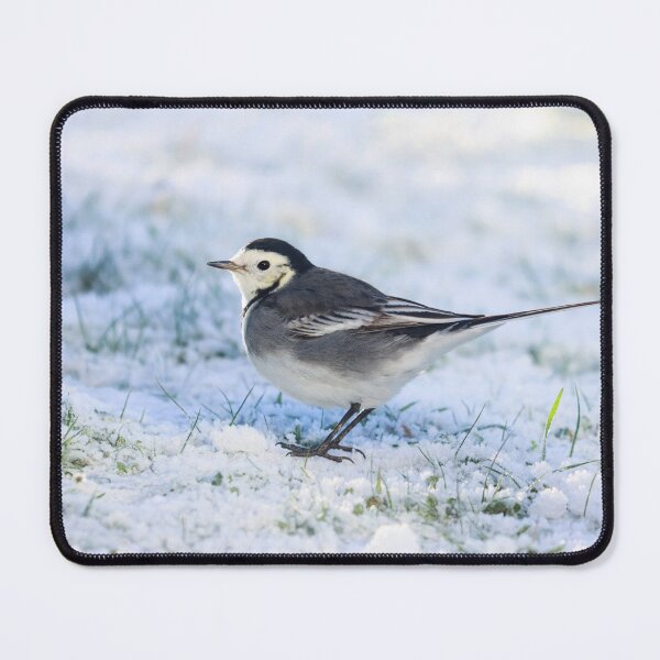 Item preview, Pied wagtail in snow designed and sold by GreyFeatherPhot.