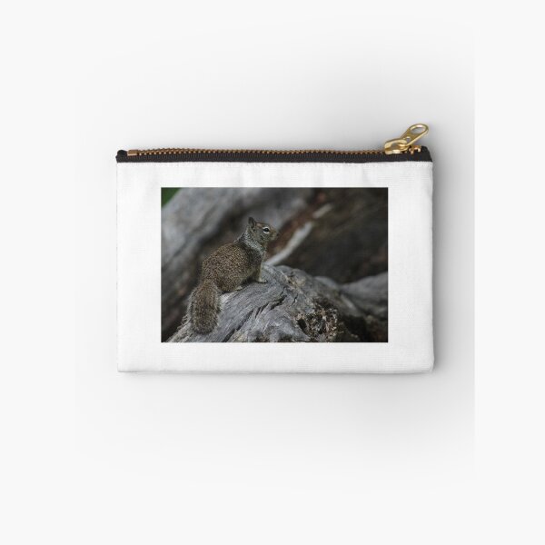 Item preview, Squirrel designed and sold by ryanmsorel.
