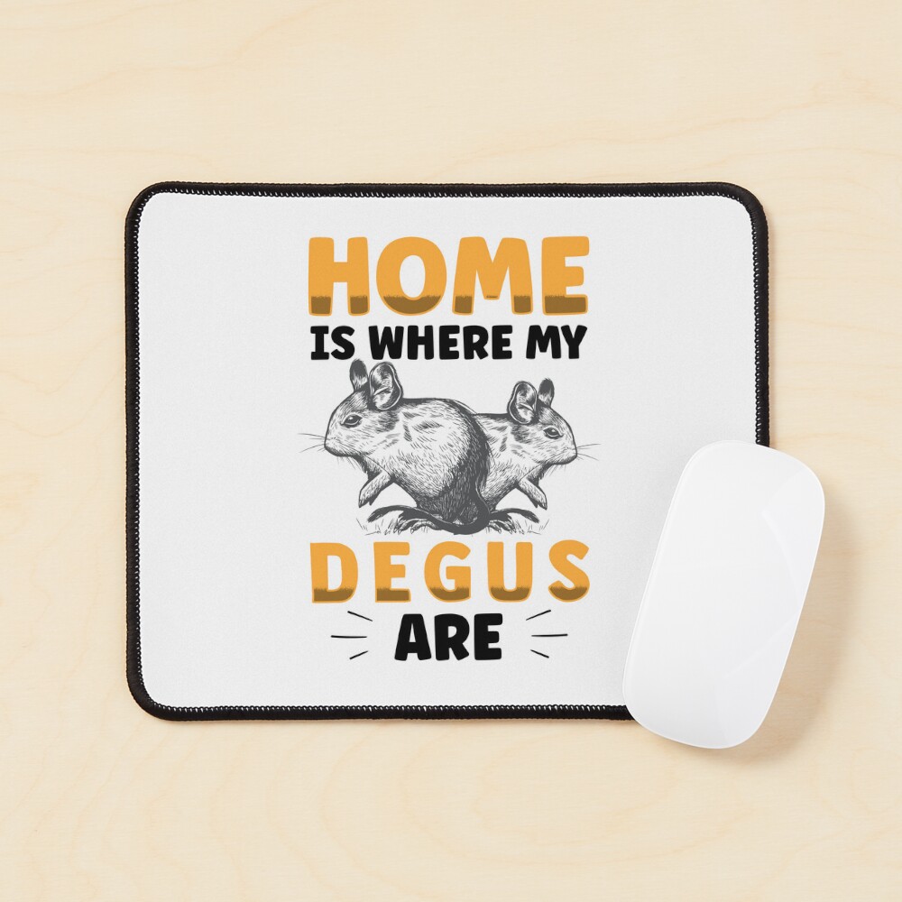 Degu is my home rodent stuffer rat