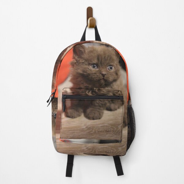Item preview, Cat photo portrait sweet puppy Cats sweet eyes designed and sold by Coolstuff4you71.
