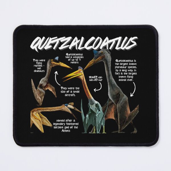 Artikelvorschau, Quetzalcoatlus Fun Facts entworfen und verkauft von KyleNesas.