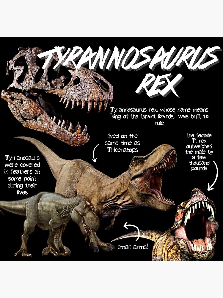 10 Facts About Tyrannosaurus Rex, King of the Dinosaurs