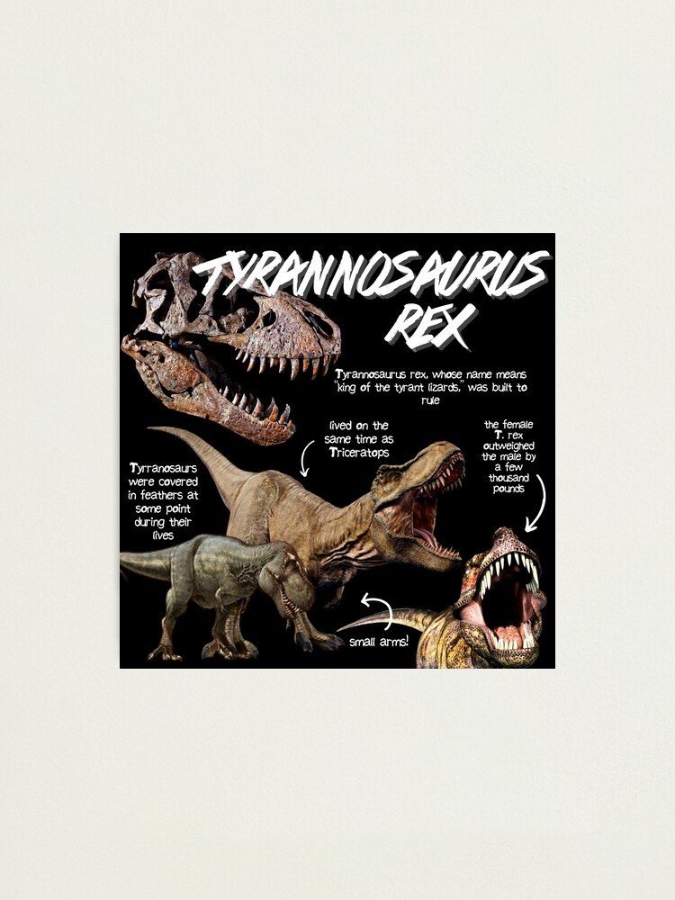 10 Facts About Tyrannosaurus Rex, King of the Dinosaurs