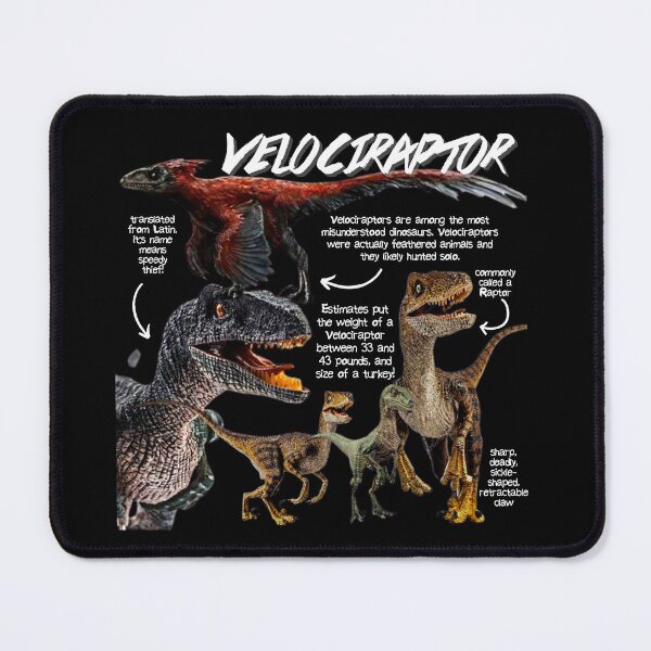 Artikelvorschau, Velociraptor Fun Facts entworfen und verkauft von KyleNesas.