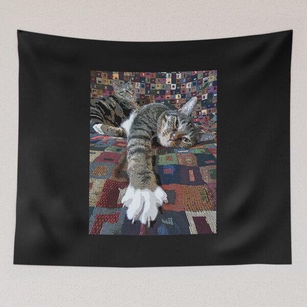 Item preview, Cool Cat + Derp designed and sold by MGSpear.